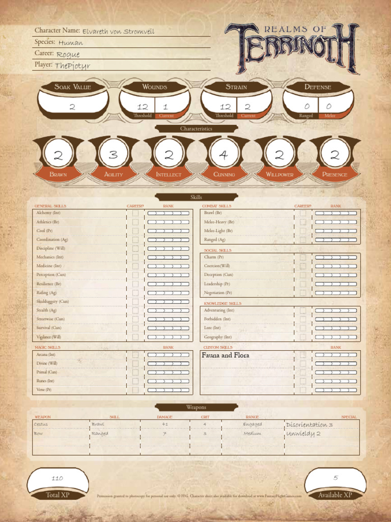 RPG Character Sheet Template | PDF