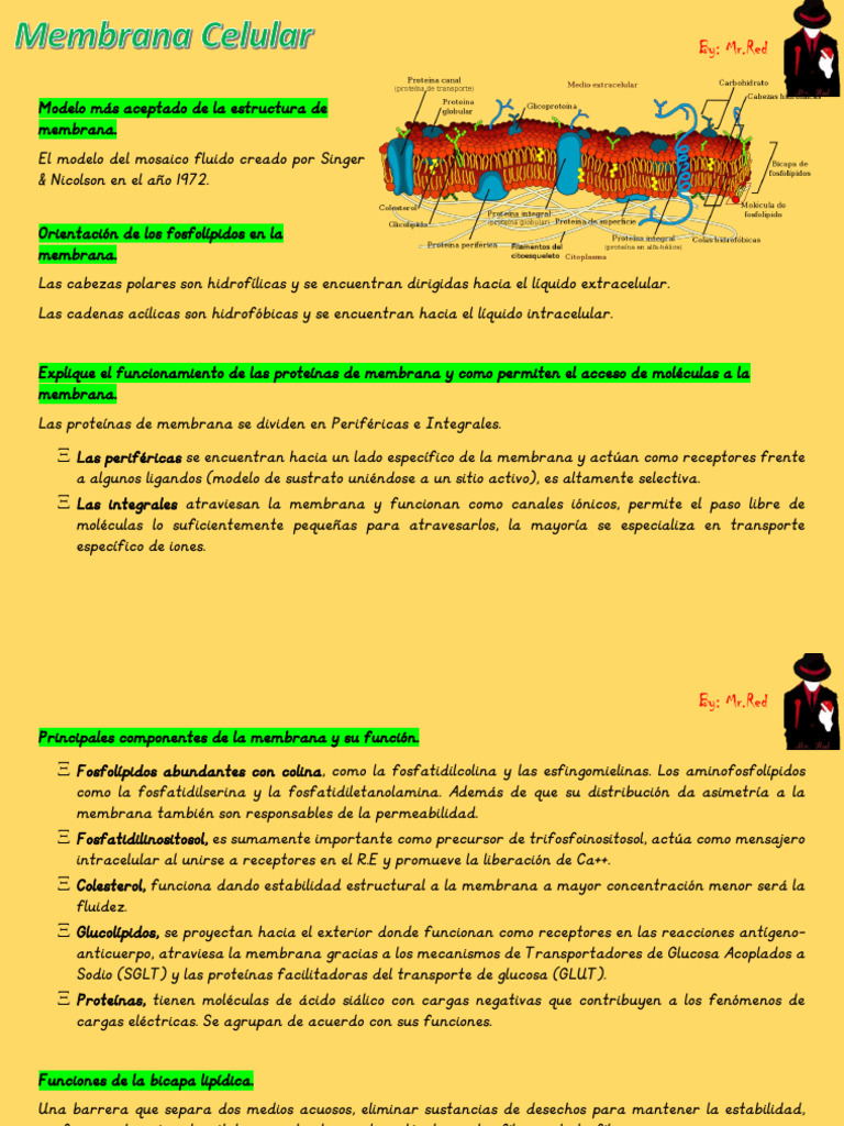 Estructura y Función de la Membrana Celular | PDF | Canal de iones ...
