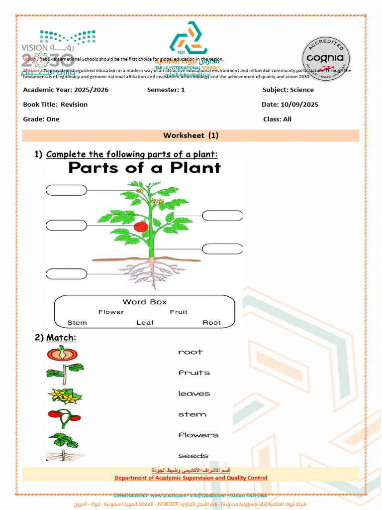 Worksheet 1 Science G1 | PDF