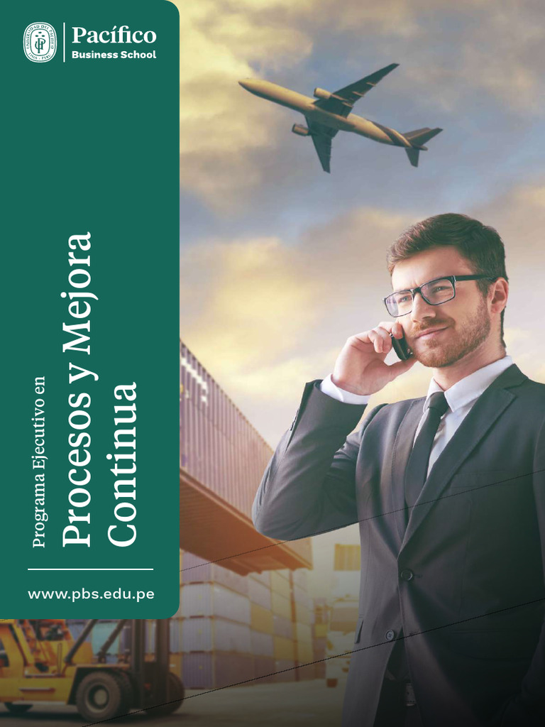 Programa en Procesos y Mejora Continua | PDF | Enseñando | Business