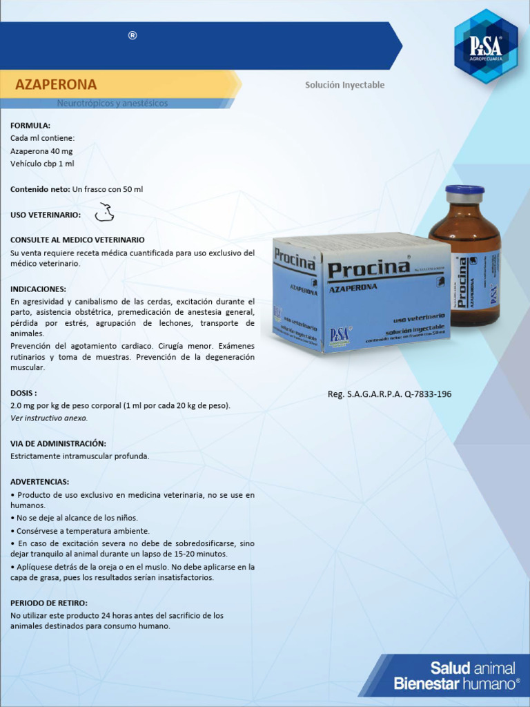 PROCINA | PDF