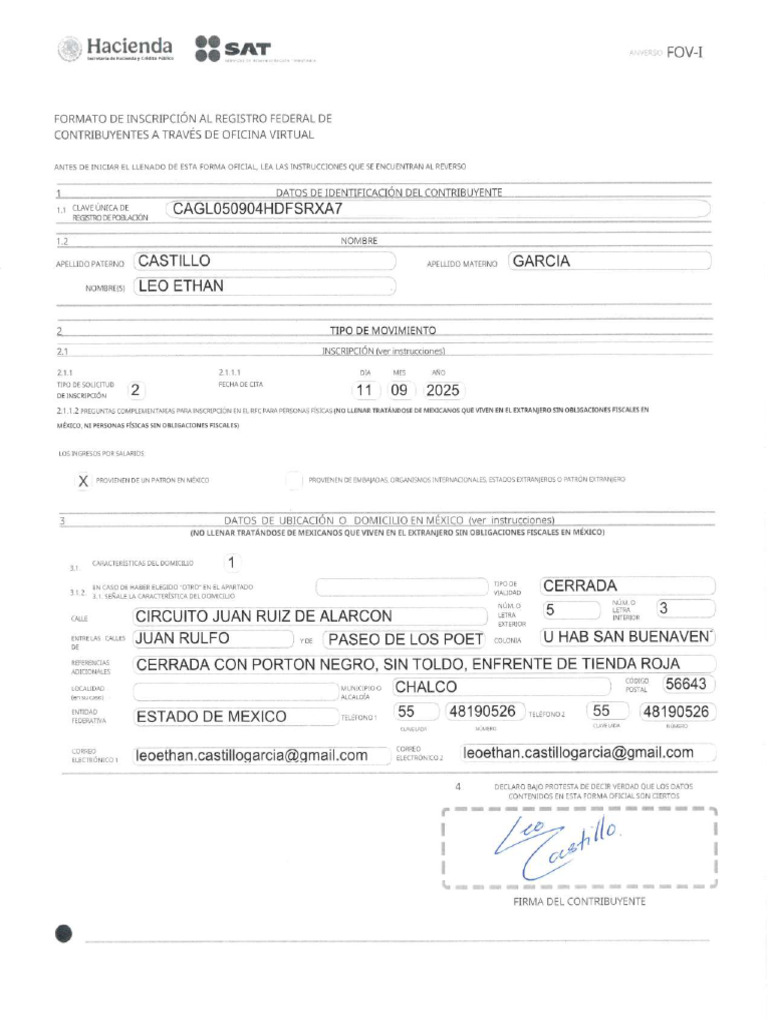 Formato de Inscripción Al Registro Federal de Contribuyentes A Traves ...