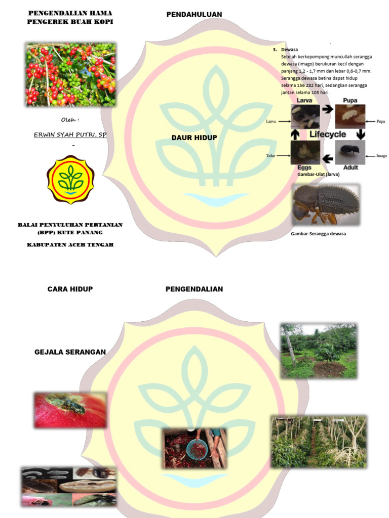 Pengendalian Hama Pengerek Buah Kopi | PDF