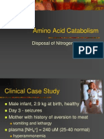 Amino Acid Catabolism 2