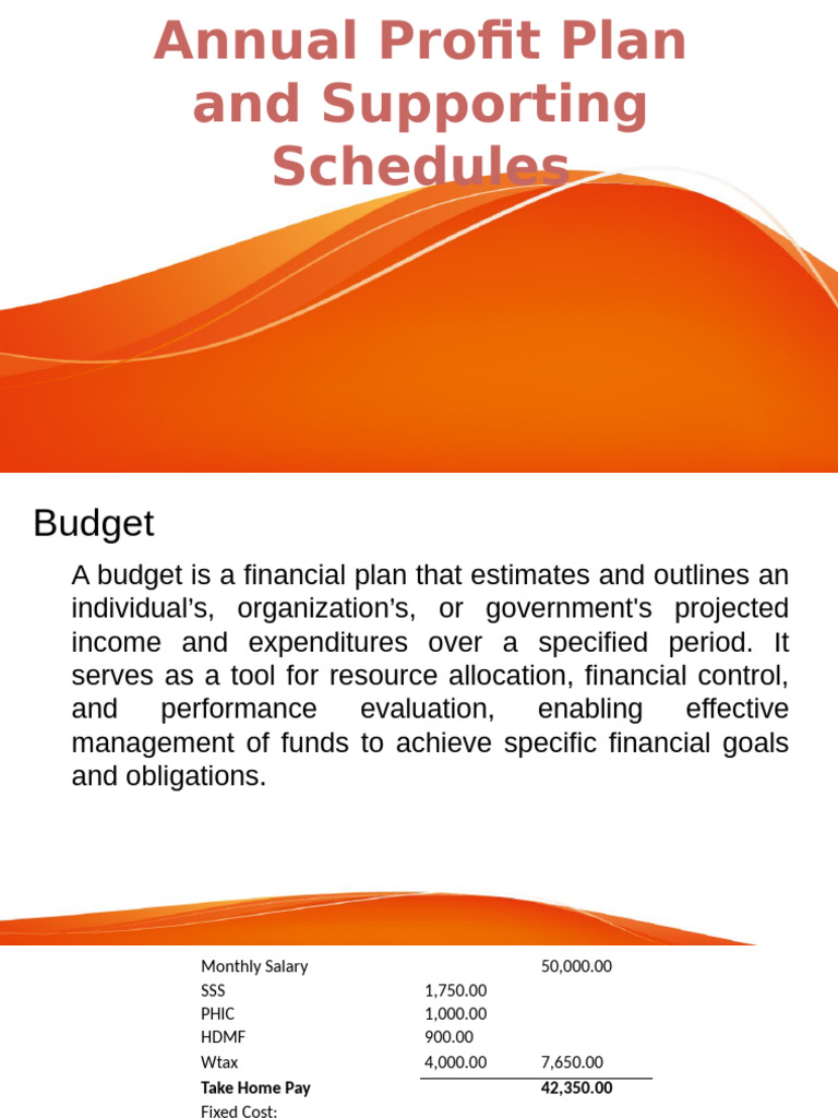 Annual Profit Plan and Budget Overview | PDF | Budget | Income