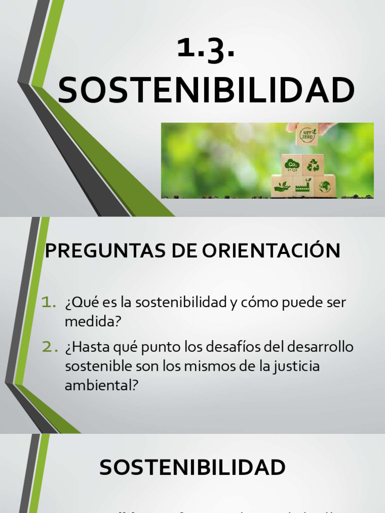 Conceptos Clave de Sostenibilidad Ambiental | PDF | Sustentabilidad ...