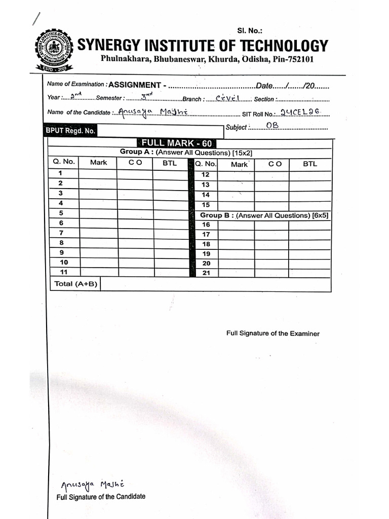 OB Assignment | PDF
