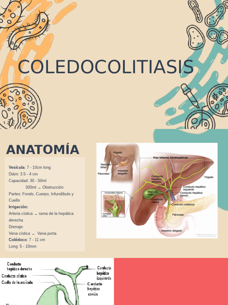 Coledocolitiasis 5 | PDF | Vesícula biliar | Medicina CLINICA