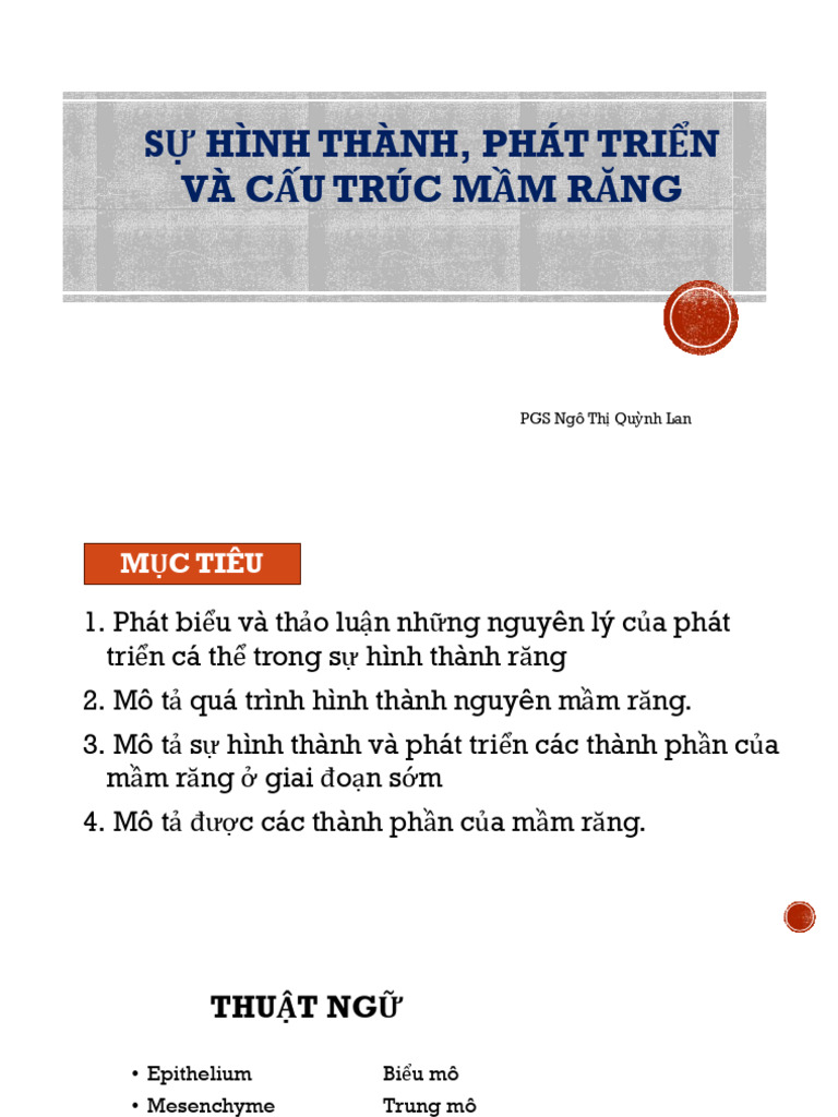 1 Hinh Thanh, Phat Trien Mam Răng | PDF