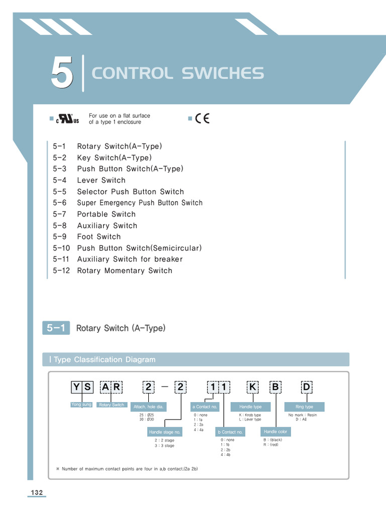 A-Type Control Switches Overview | PDF