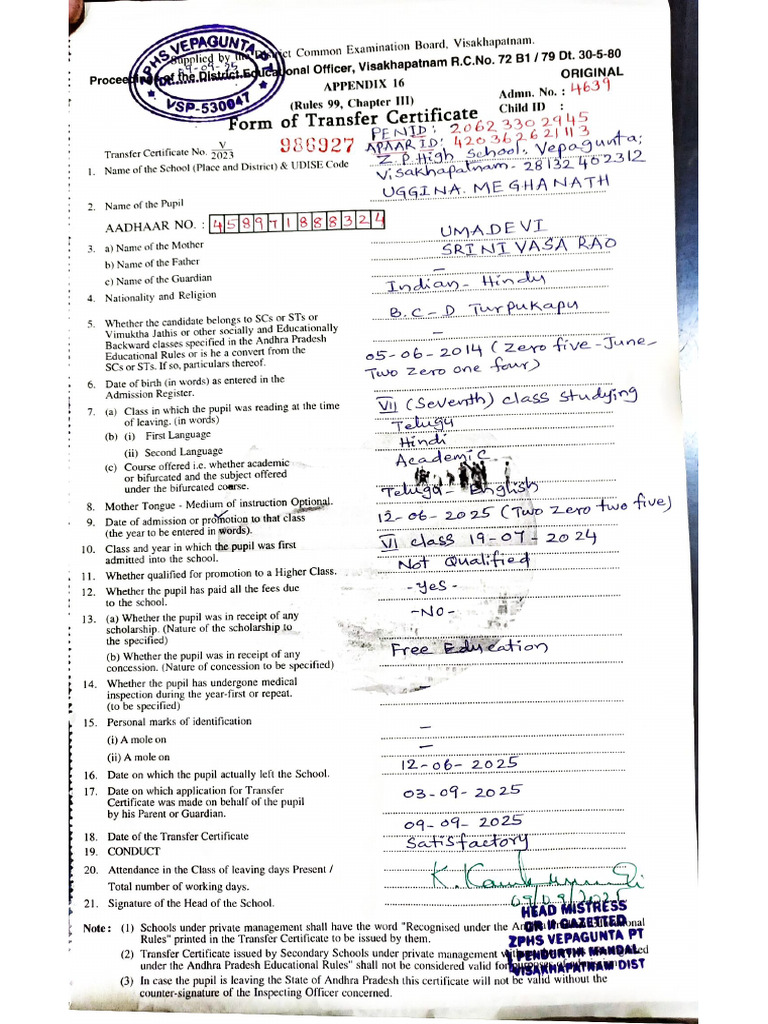 Document 31 | PDF