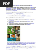 Download zoologi by Muhammad Icoenz Arifianto SN91638944 doc pdf