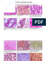 Mini Atlas de Patologie Generala