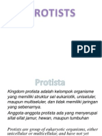 Protista