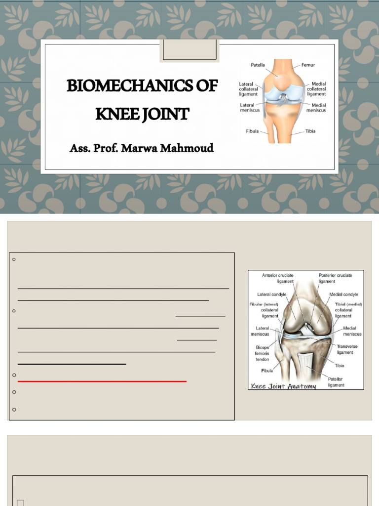Knee Joint Biomechanics Overview | PDF | Knee | Human Leg