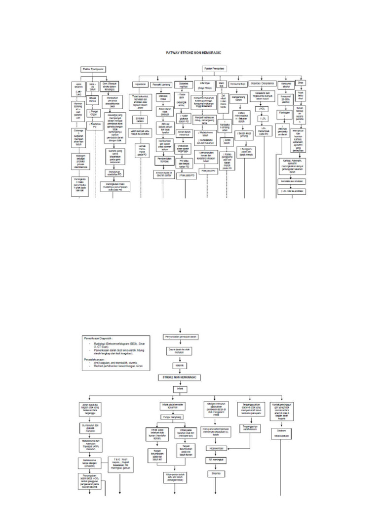 Pathway SNH | PDF