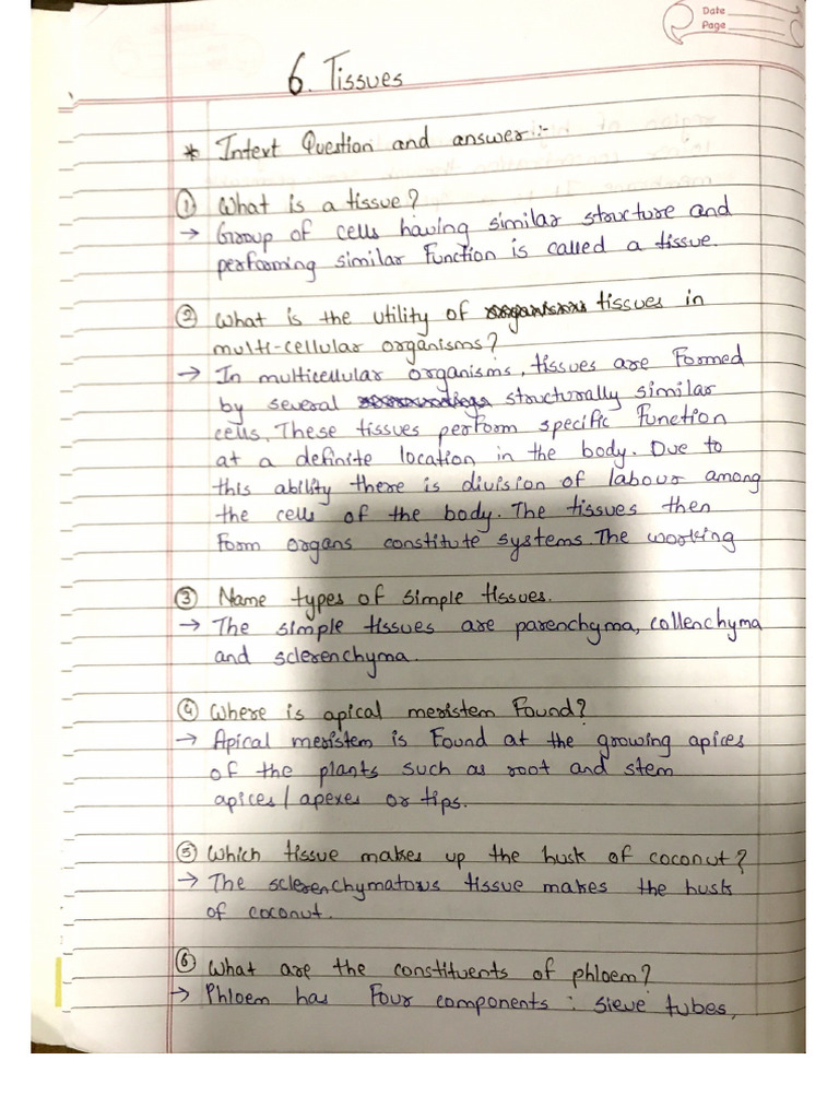 Intext Question and Answers-CH-6 | PDF