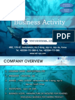 Business Activity: NNT Systems., LTD