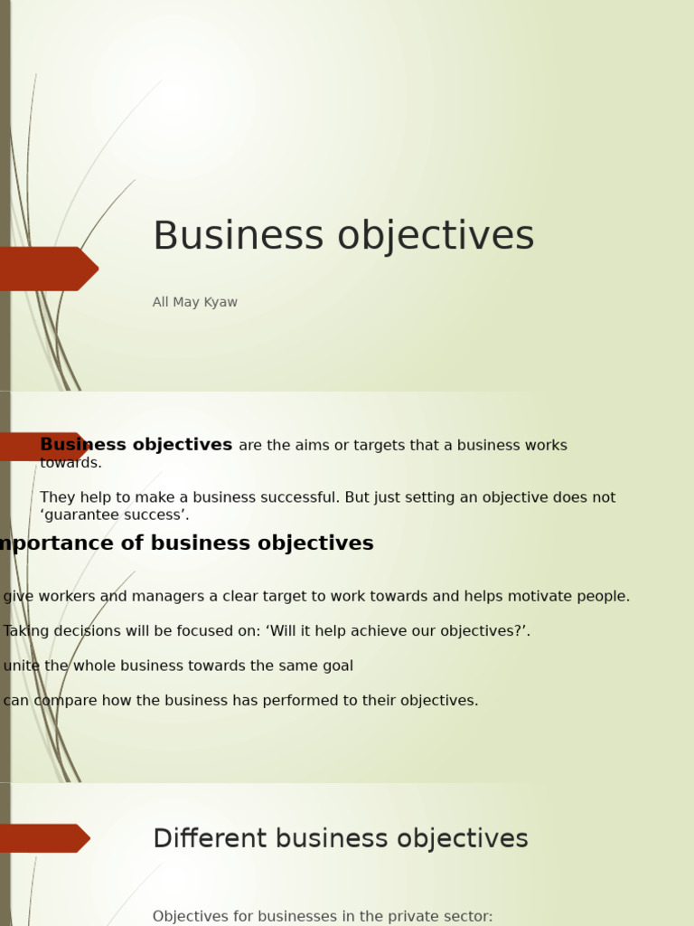 Understanding Business Objectives | PDF | Business | Profit (Economics)