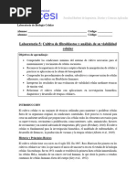 Clasificación Gustilo-Anderson Grados | PDF | Tratamientos médicos