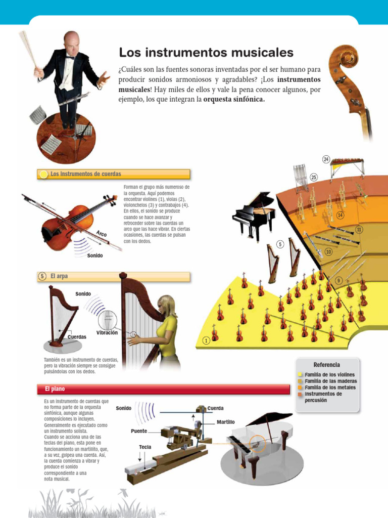 Instrumentos Musicales en la Orquesta | PDF | Instrumentos de cuerda ...