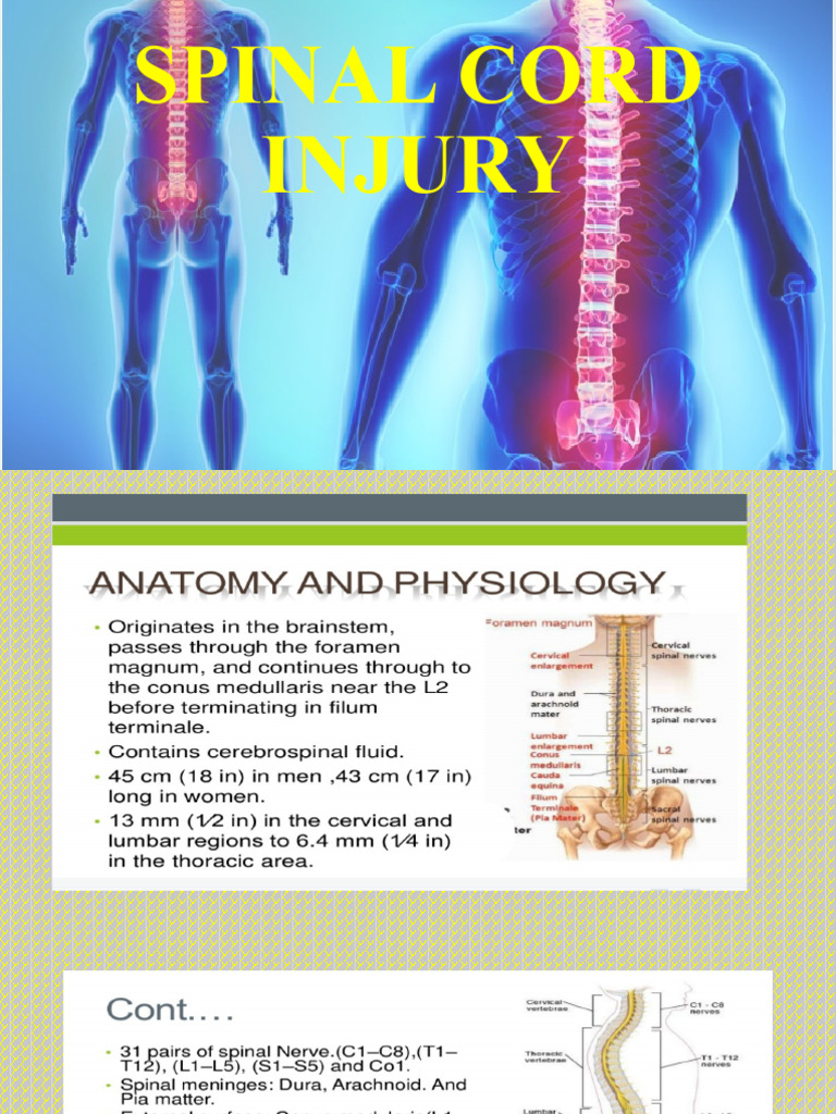 Spinal Cord Injury: Causes and Management | PDF | Spinal Cord Injury ...