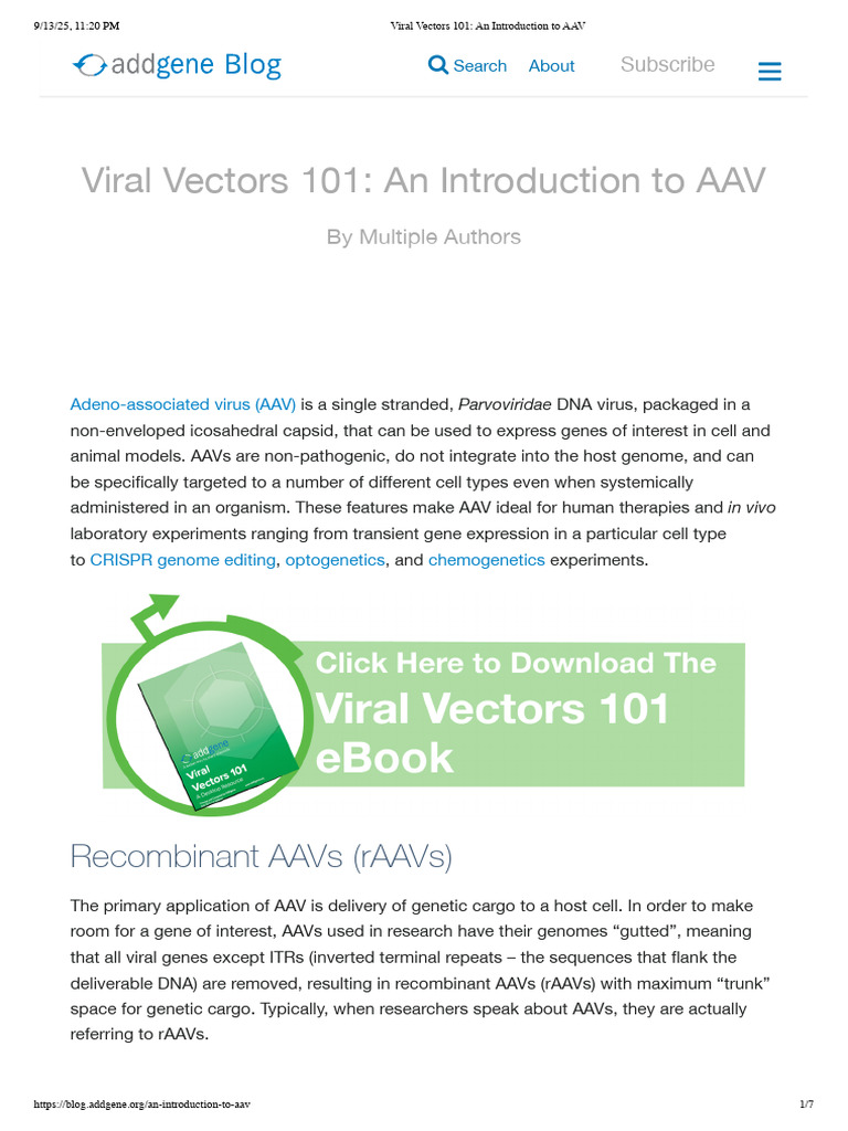 Viral Vectors 101 - An Introduction To AAV | PDF | Viral Vector | Genetics