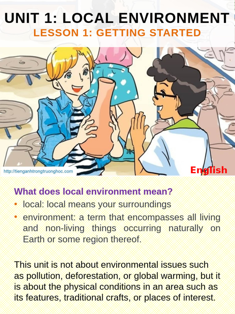 Understanding Local Environment Concepts | PDF