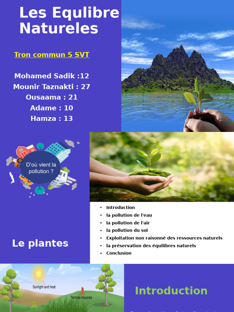 Pollution et Équilibres Naturels en SVT | PDF | la pollution | Sol ...