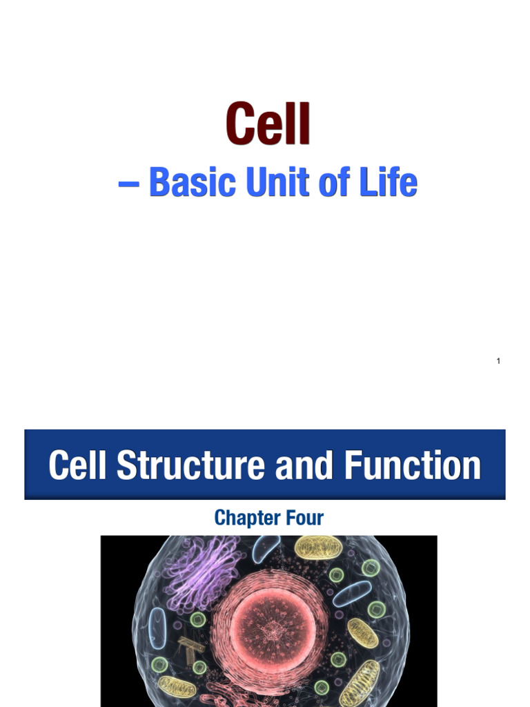Lecture 3 - Cell - Structure and Function | PDF | Cell (Biology ...