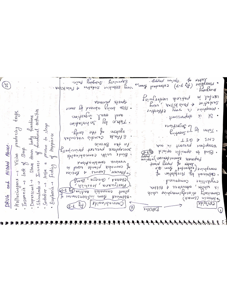 Drugs and Alcohol Abuse Notes | PDF