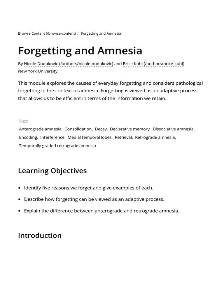 Understanding Forgetting and Amnesia | PDF | Amnesia | Memory