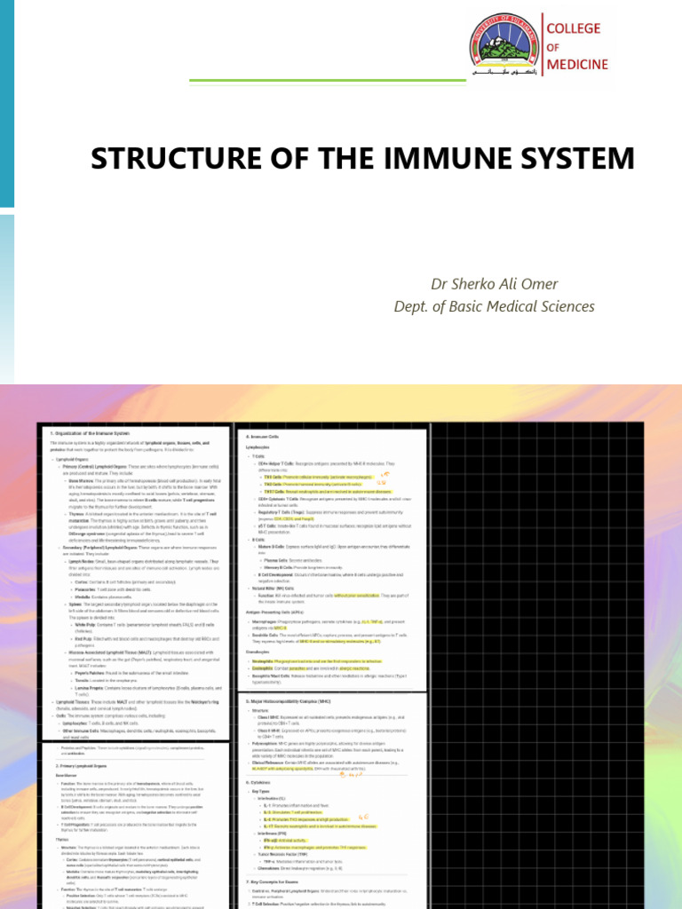 Structure of The Immune System - 250205 - 210307 | PDF | Lymph Node ...