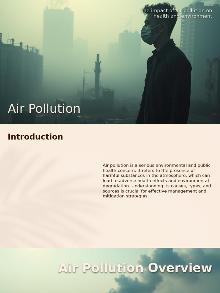 Air Pollution | PDF | Air Pollution | Particulates