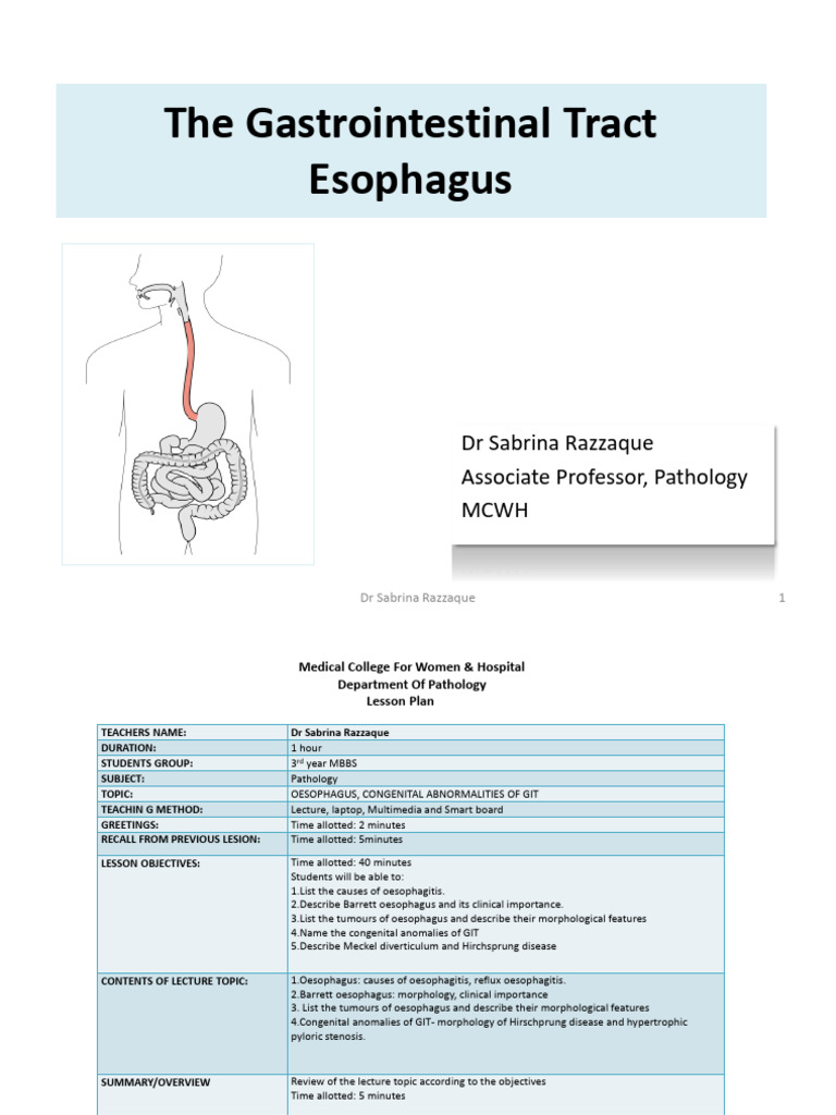 The Gastrointestinal Tract Esophagus | PDF | Esophagus | Esophageal Cancer