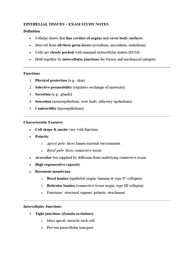 Epithelial Tissues Study Guide | PDF | Epithelium | Anatomy