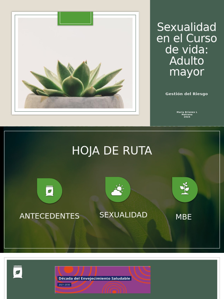 JSSYR 2024 Sexualidad en El Adulto Mayor (Autoguardado) | PDF | Adultos ...