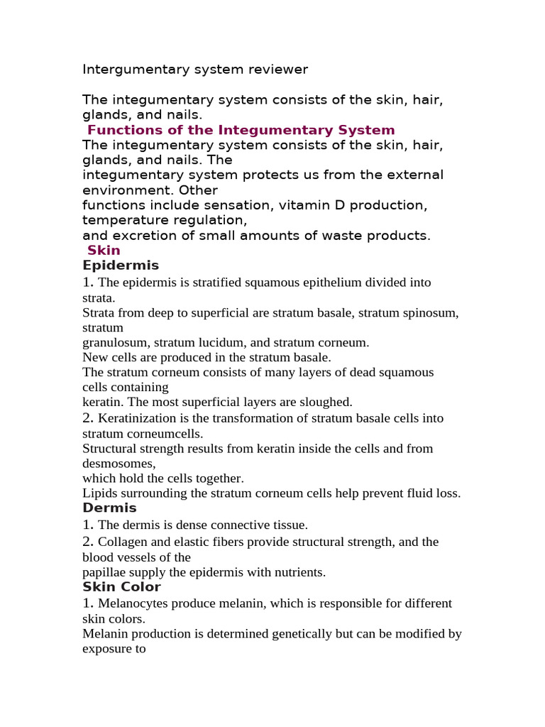 Integumentary System Overview and Functions | PDF | Skin ...