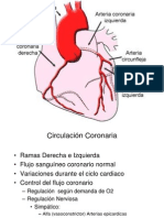 Circulación Coronaria