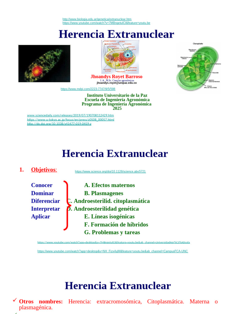 Herencia Extranuclear: Conceptos Clave | PDF | Adn | Cigosidad