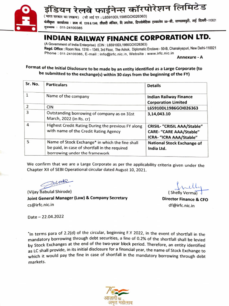 Initial Disclosure Format for Large Corporates | PDF | Economies ...