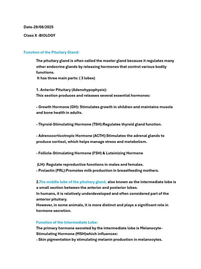 Functions of the Pituitary Gland Explained | PDF | Pituitary Gland ...