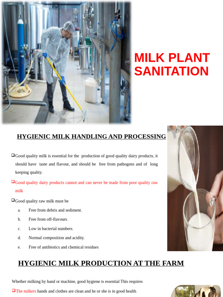 Milk Plant Sanitation Guidelines | PDF | Milk | Dairy