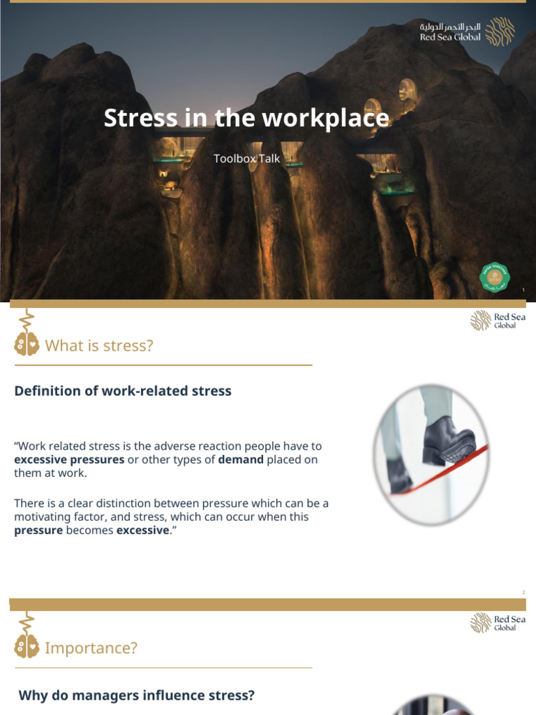 Workplace Stress Management Guide | PDF | Occupational Stress ...