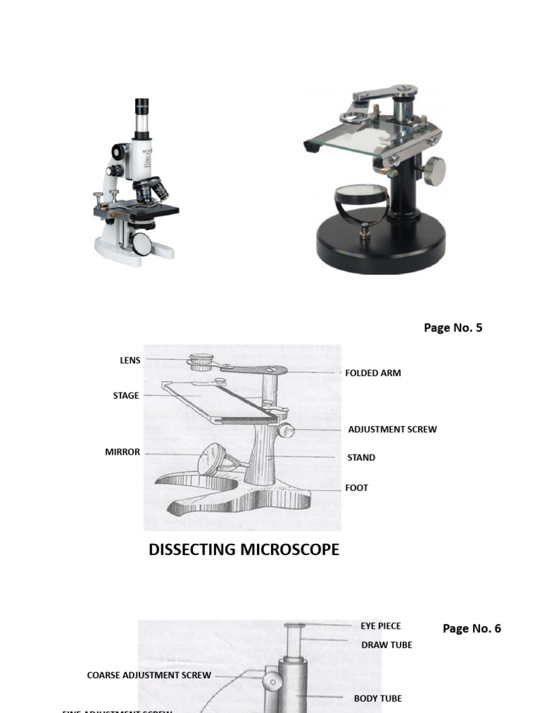 Microscope Parts and Function Guide | PDF | Applied And ...