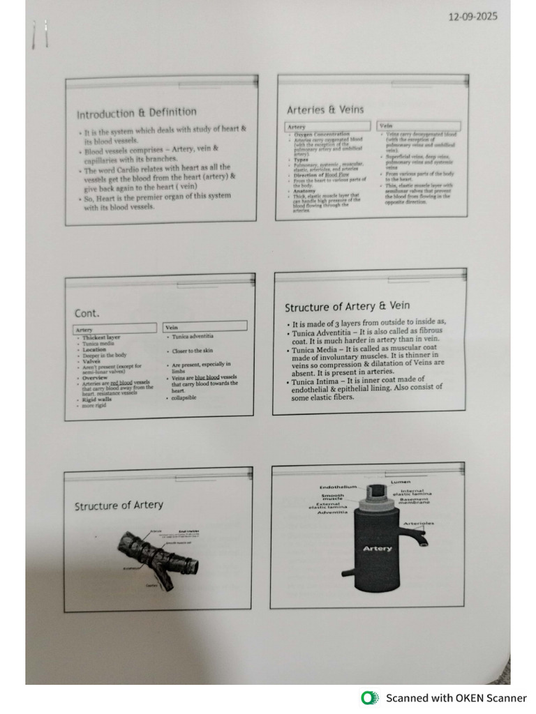 Cvs | PDF