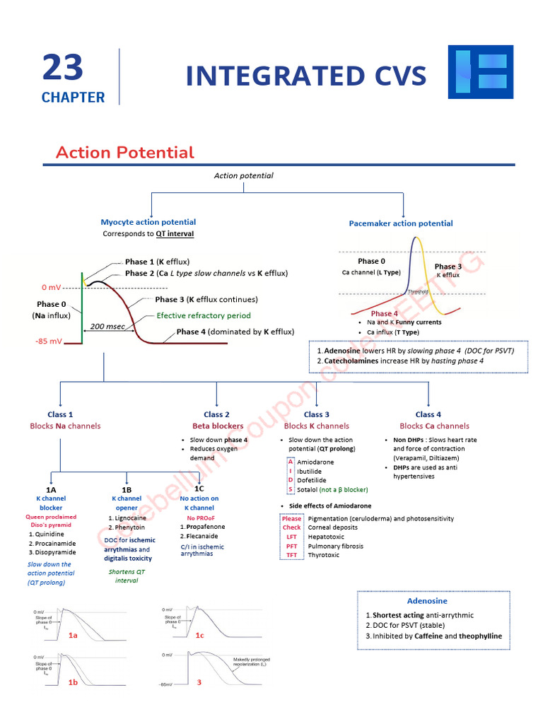 Understanding Cardiac Action Potentials | PDF | Myocardial Infarction ...