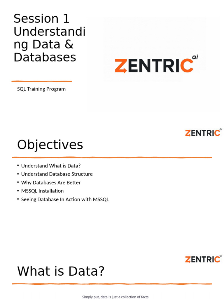 Introduction to Data and Databases | PDF