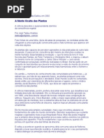 A Mente Oculta Das Plantas