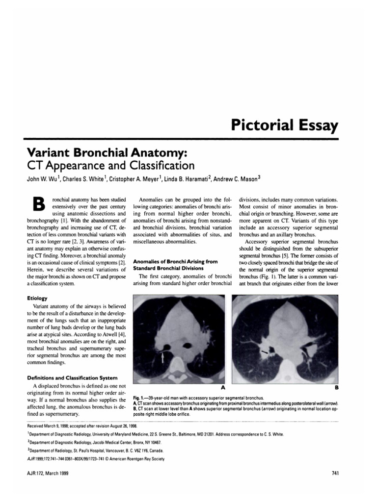 CT Classification of Bronchial Variants | PDF | Thorax (Human Anatomy ...